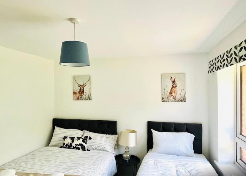 Ashford Retreat - Luxury Home With Double Parking Eksteriør bilde