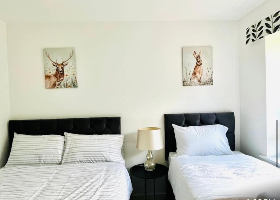 Ashford Retreat - Luxury Home With Double Parking Eksteriør bilde